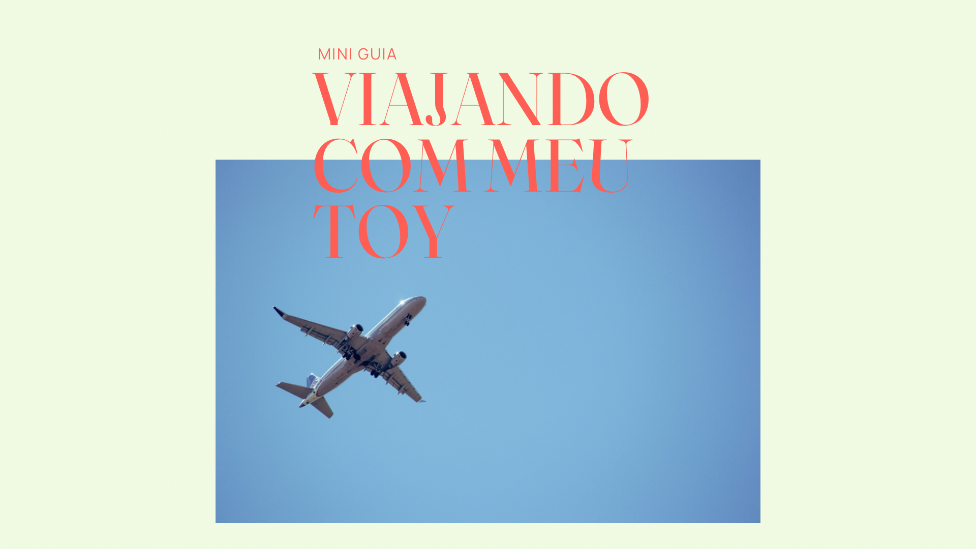 Viajando com meus toys
