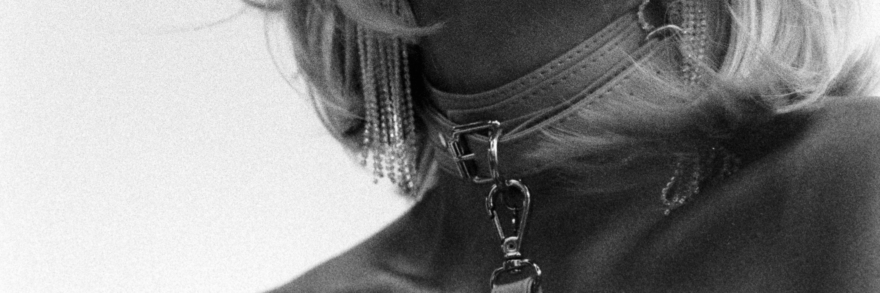 Harness