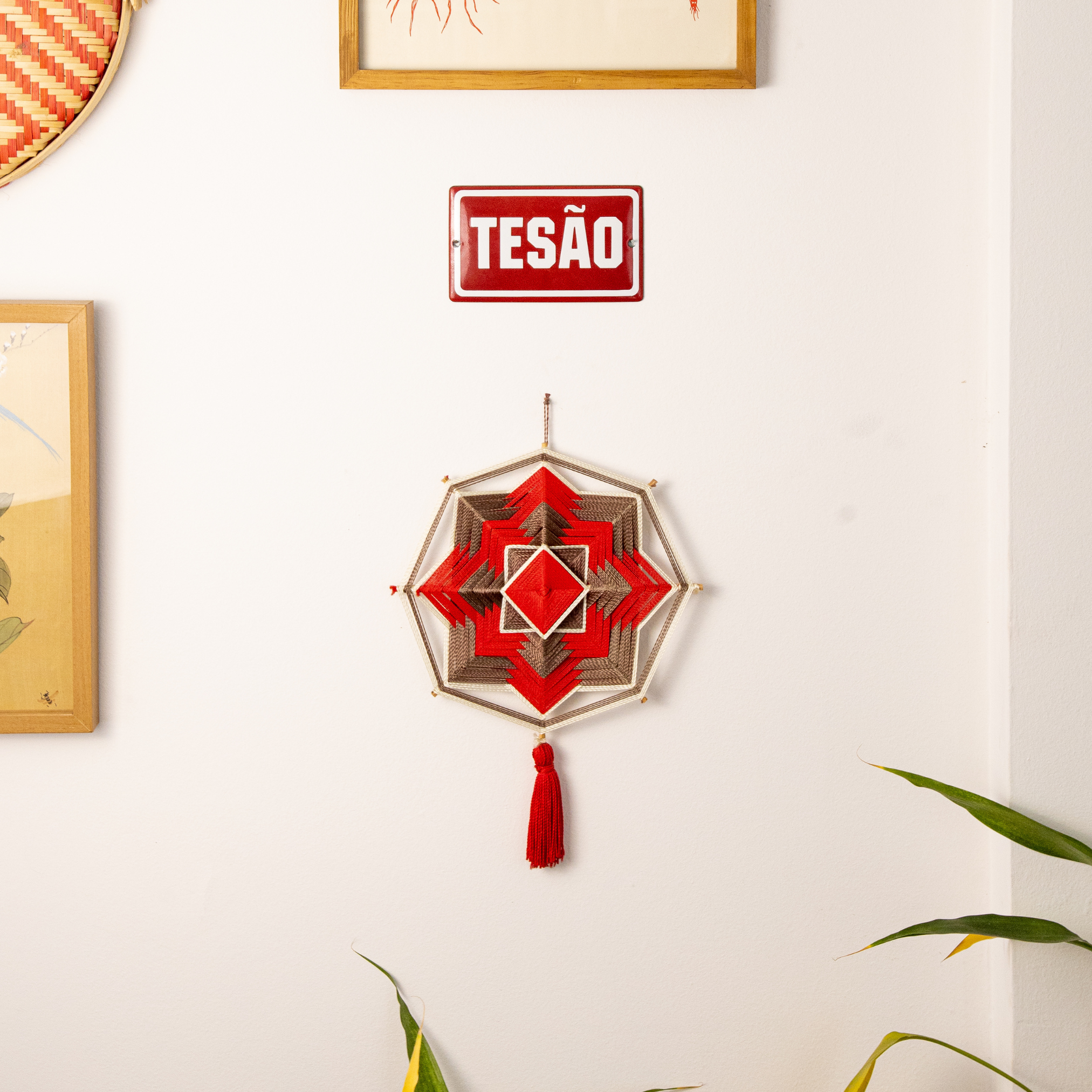 Placa TESÃO